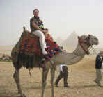 Ren-camel-1.JPG (715460 bytes)